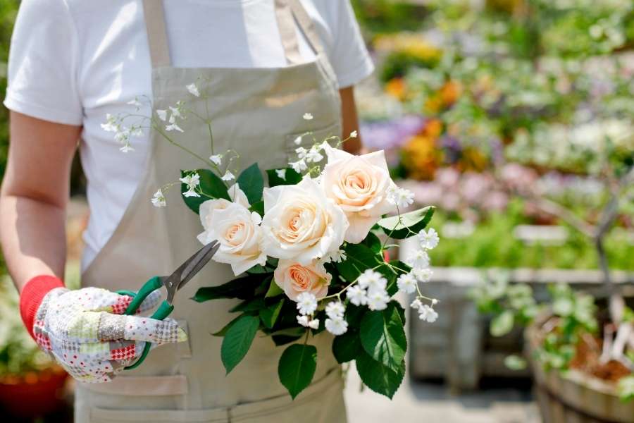 Une jardinière tient un bouquet de roses fraîches pour illustrer la floraison de ses rosiers.